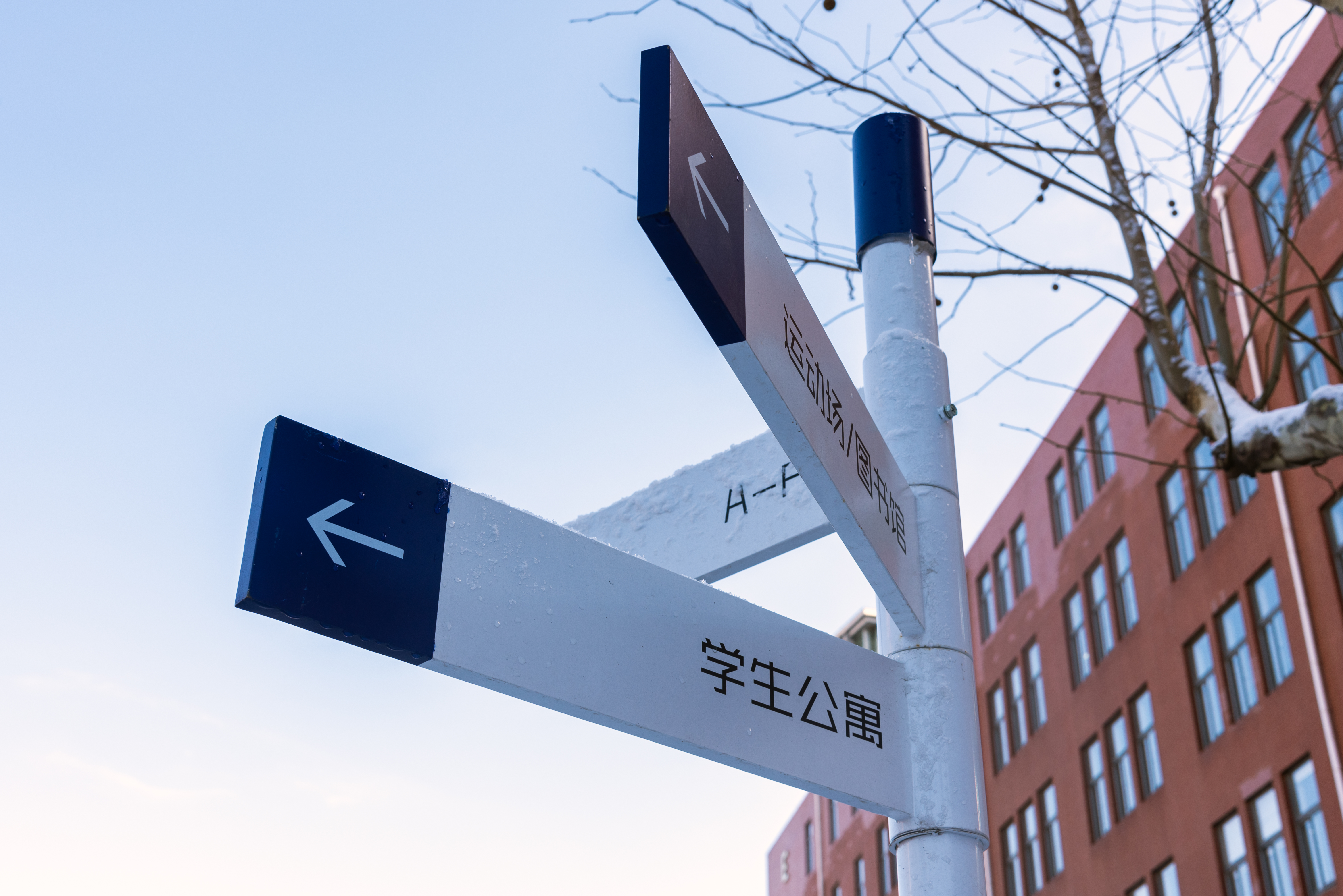 雪景大科