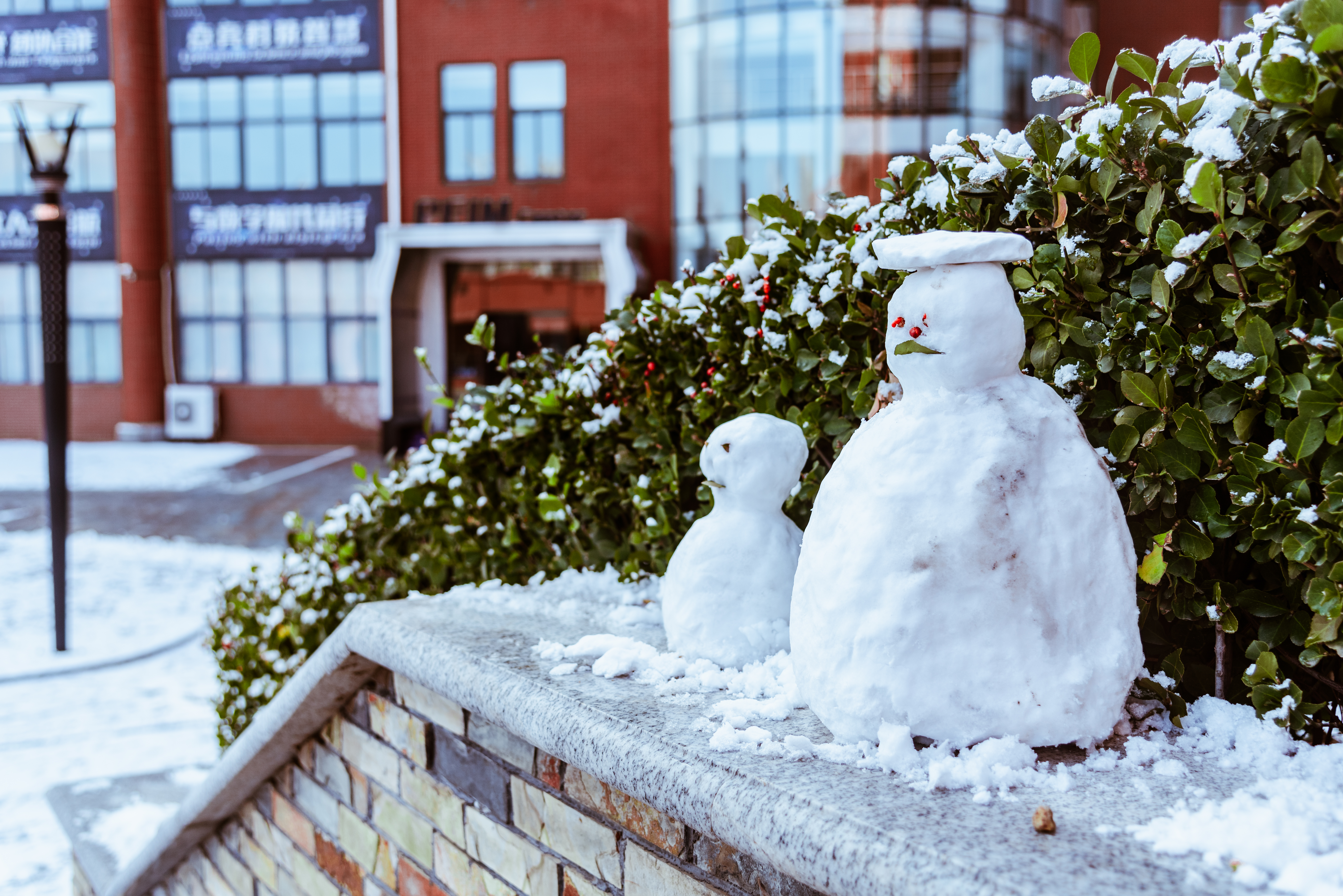 雪景大科