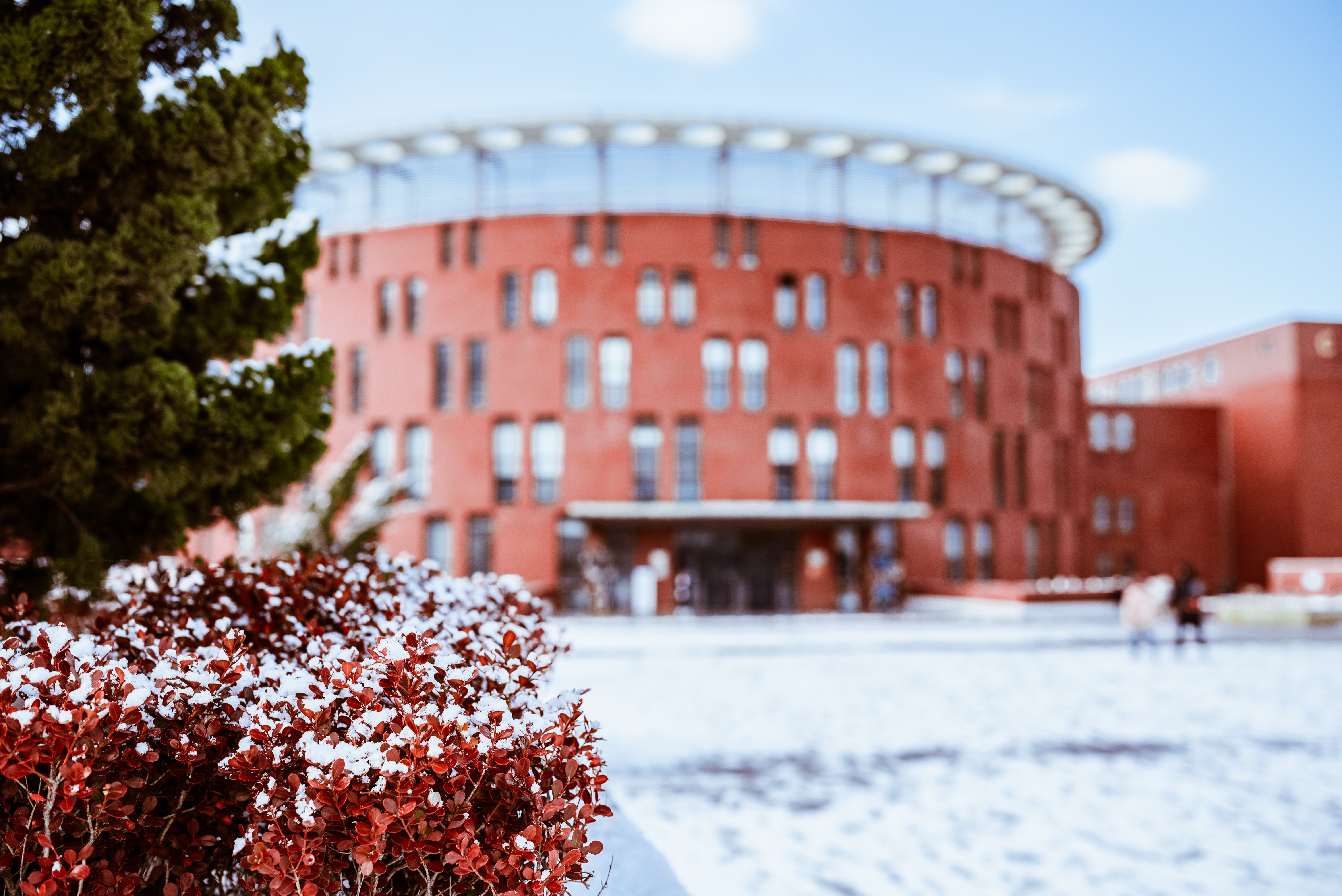 雪景大科