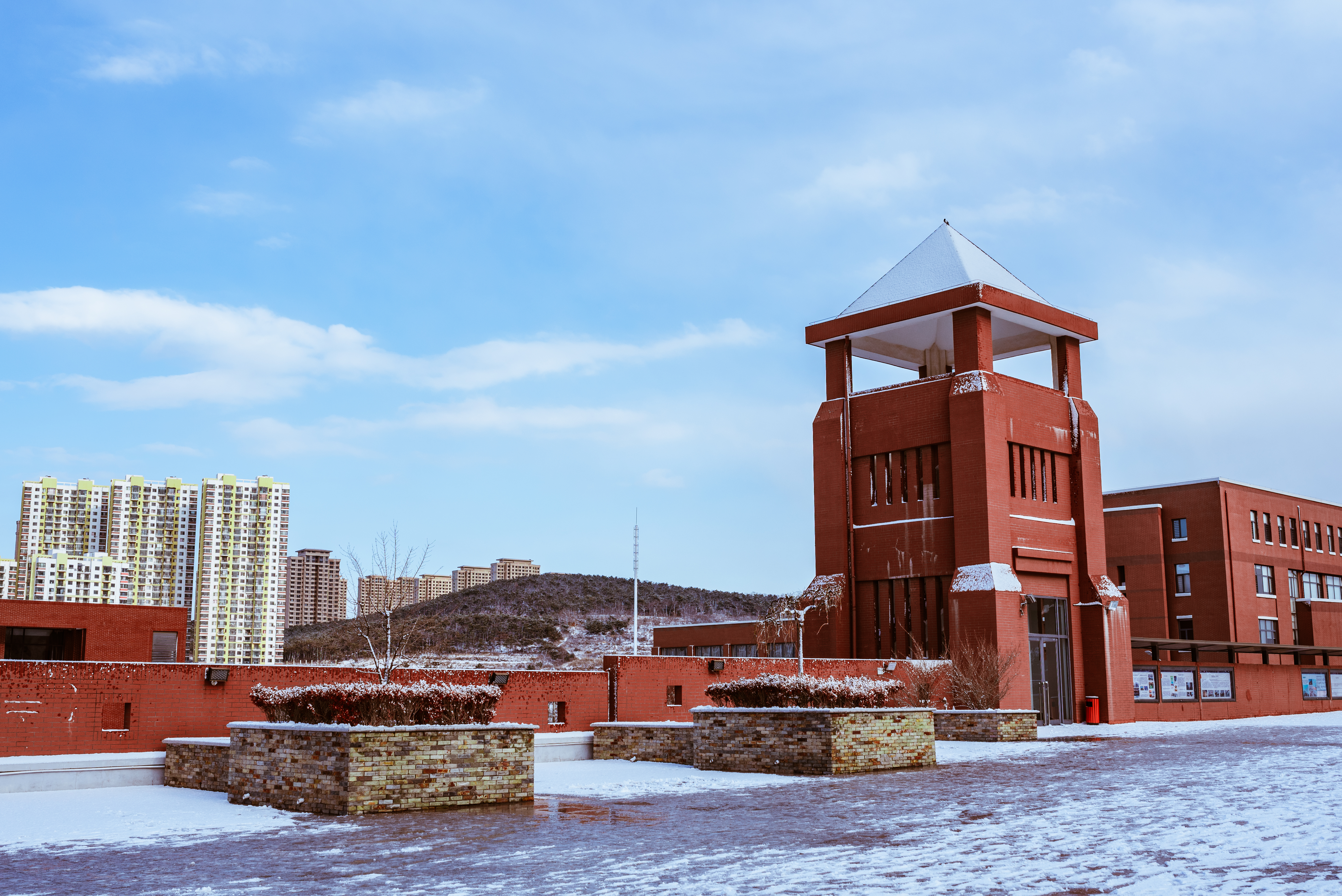 雪景大科