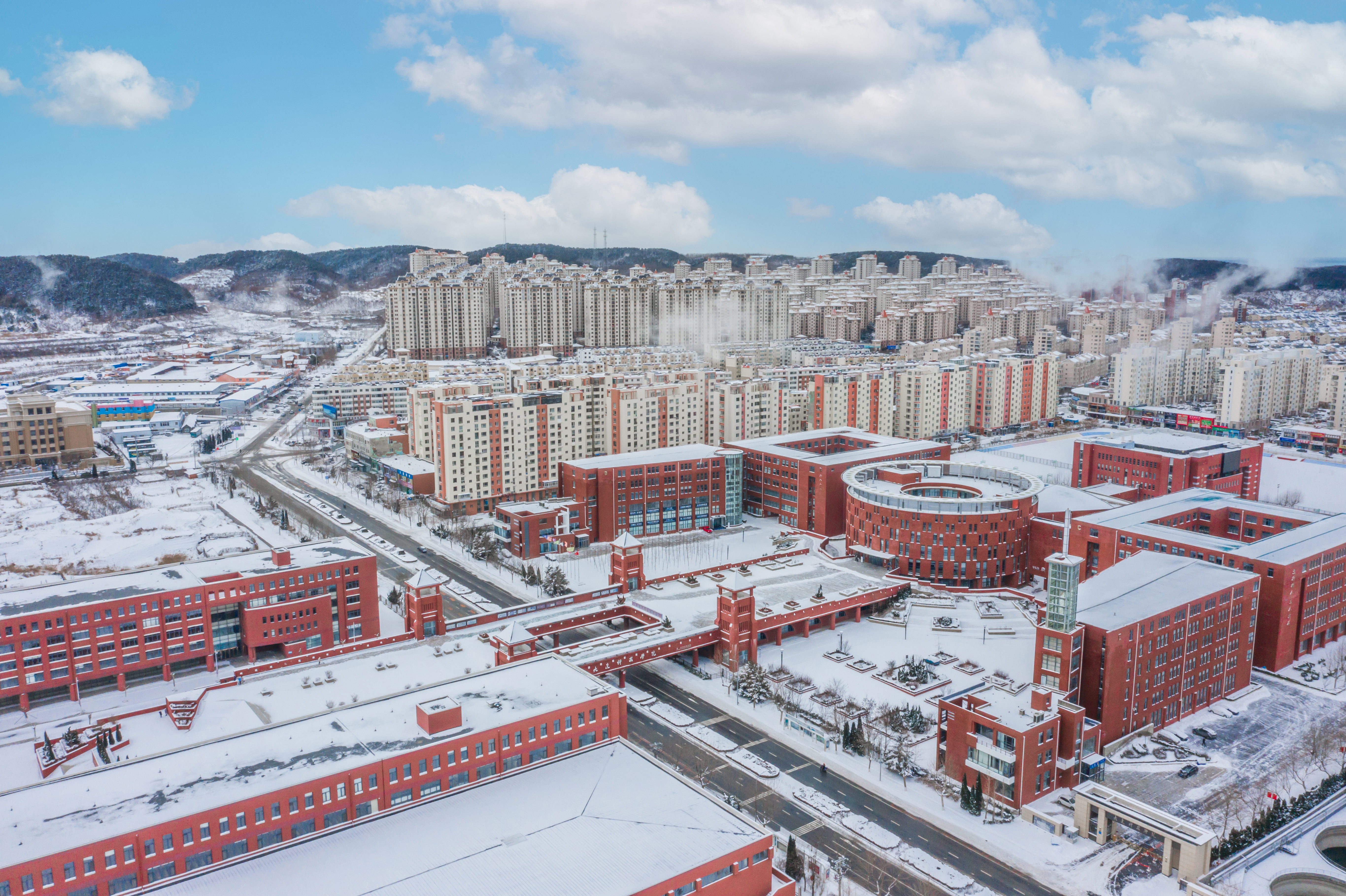 雪景大科