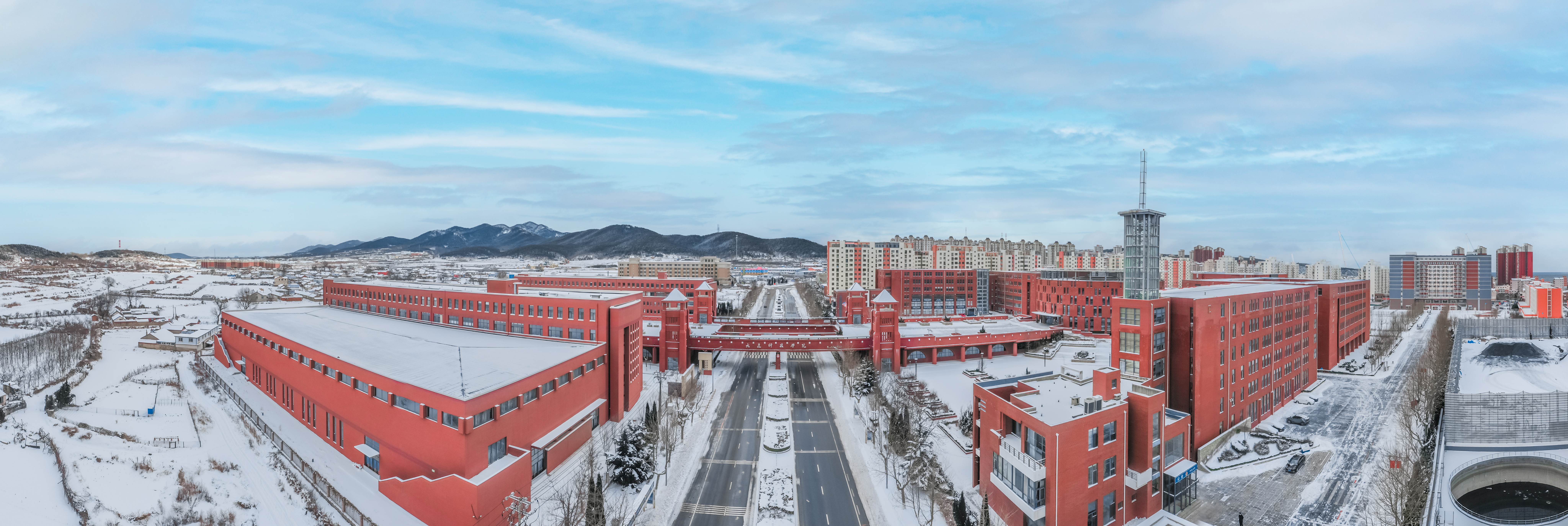 雪景大科