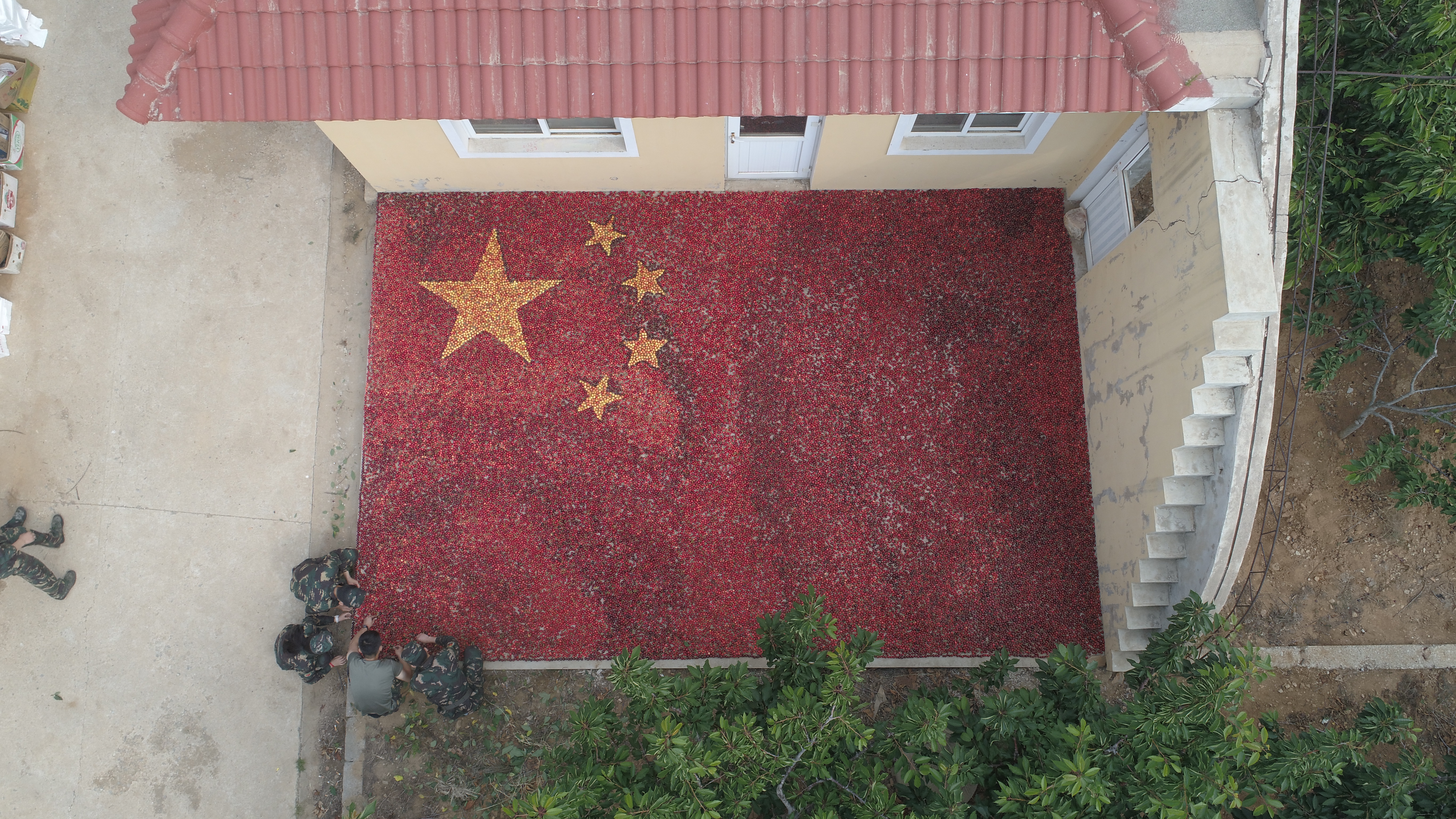 文体活动