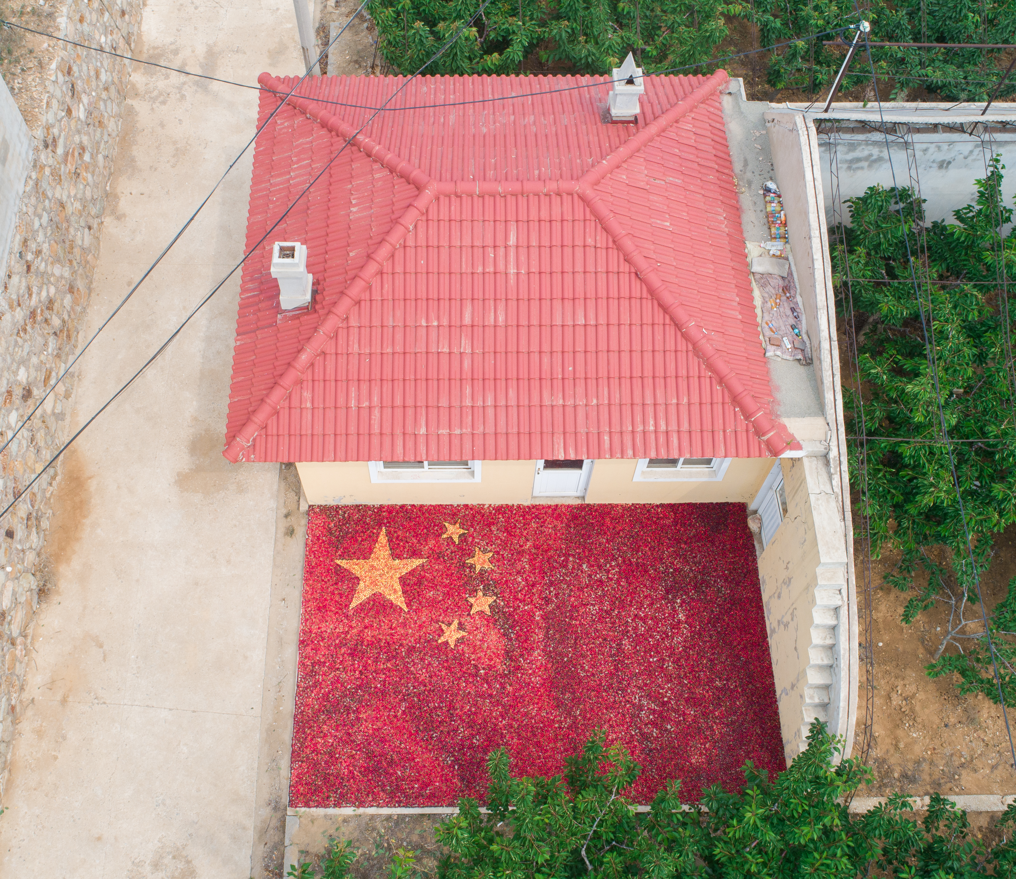 文体活动